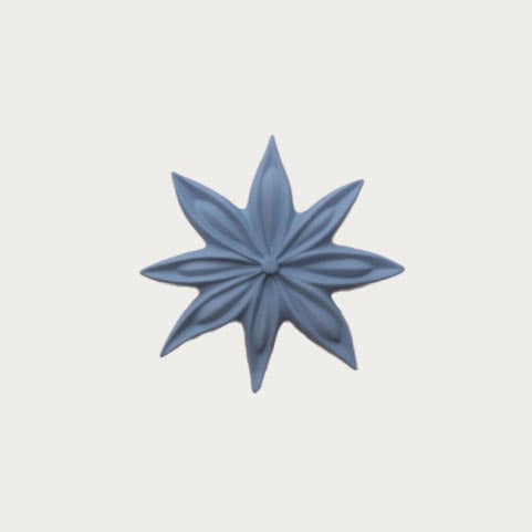 Monochromic- Star Anise Flower