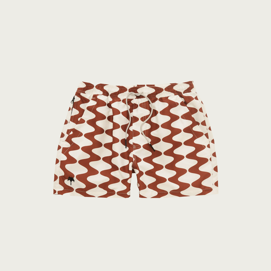 Big Lauda Swim Shorts