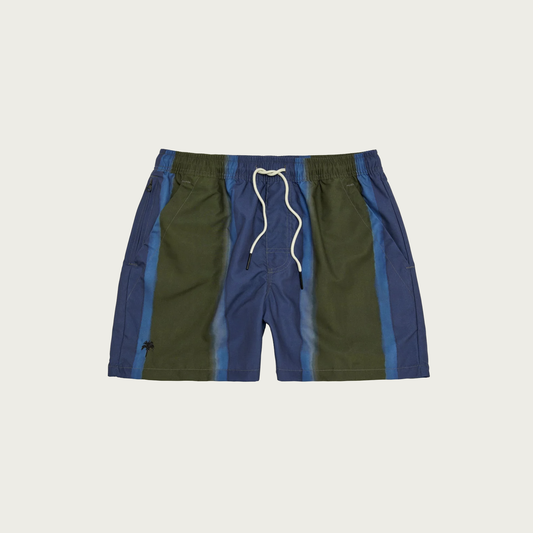 Murky Mist Swim Shorts