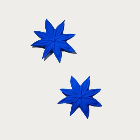 Monochromic- Star Anise Flower