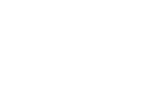 The Beholder Styling + Design